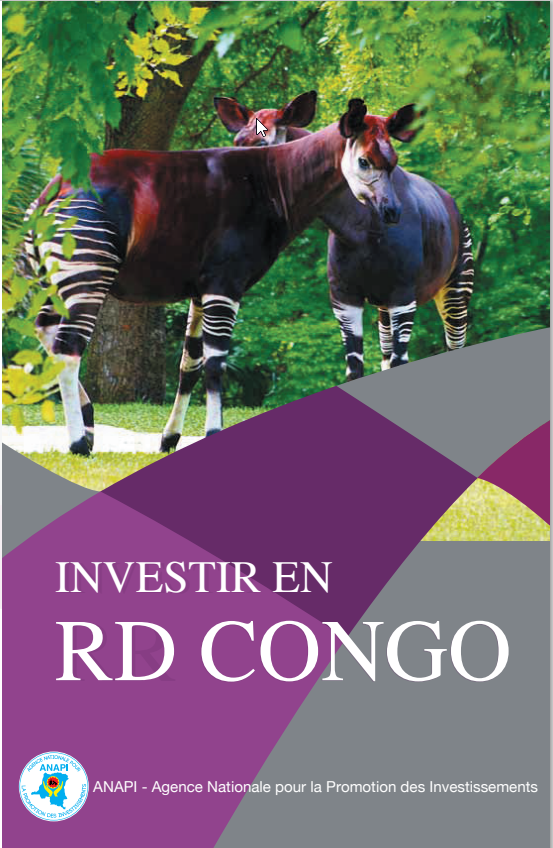 Investir en RDC