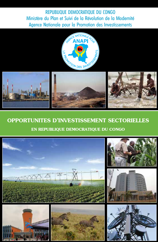 Opportunités d’investissement sectorielles en RDC